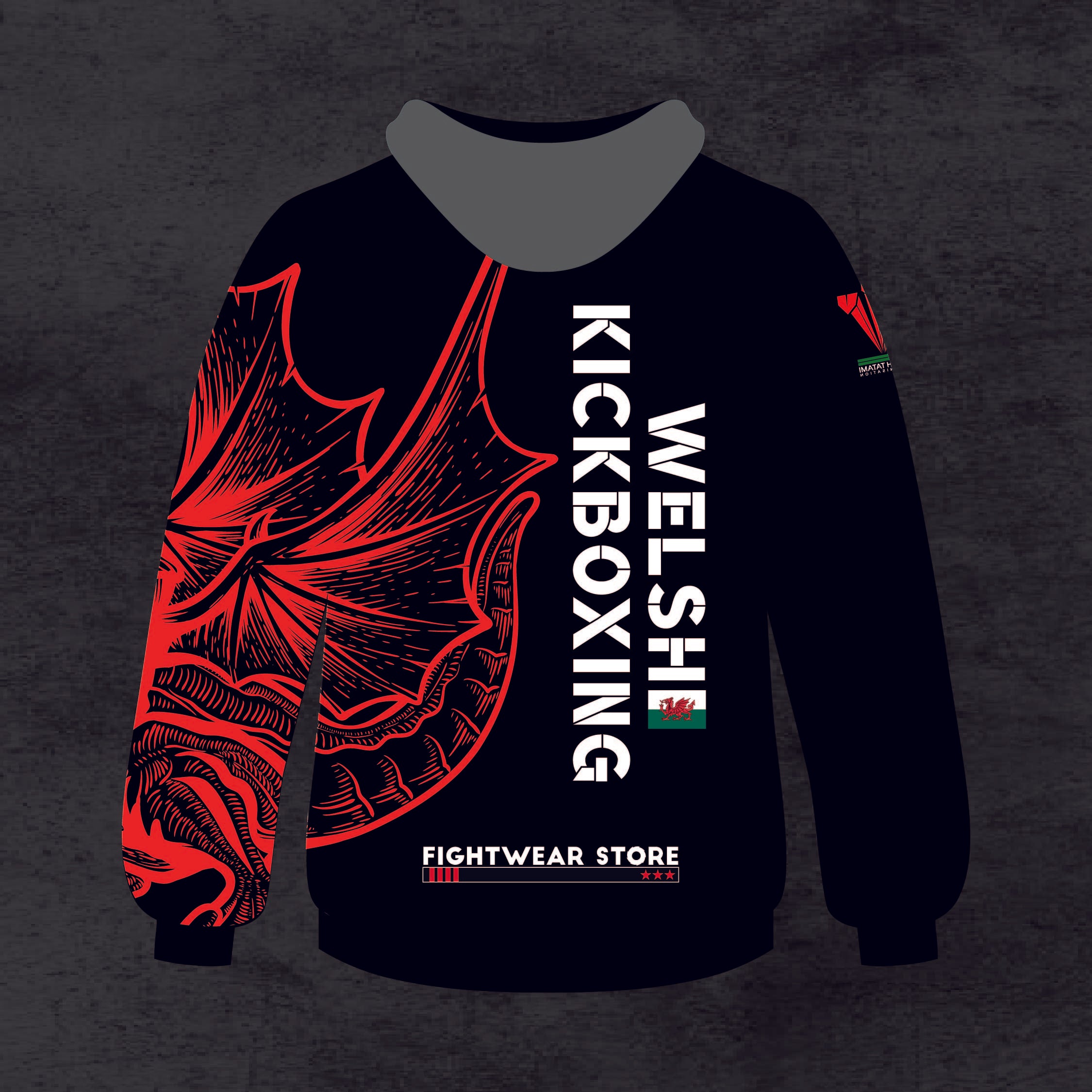 Welsh National Team Hoodie (2023)