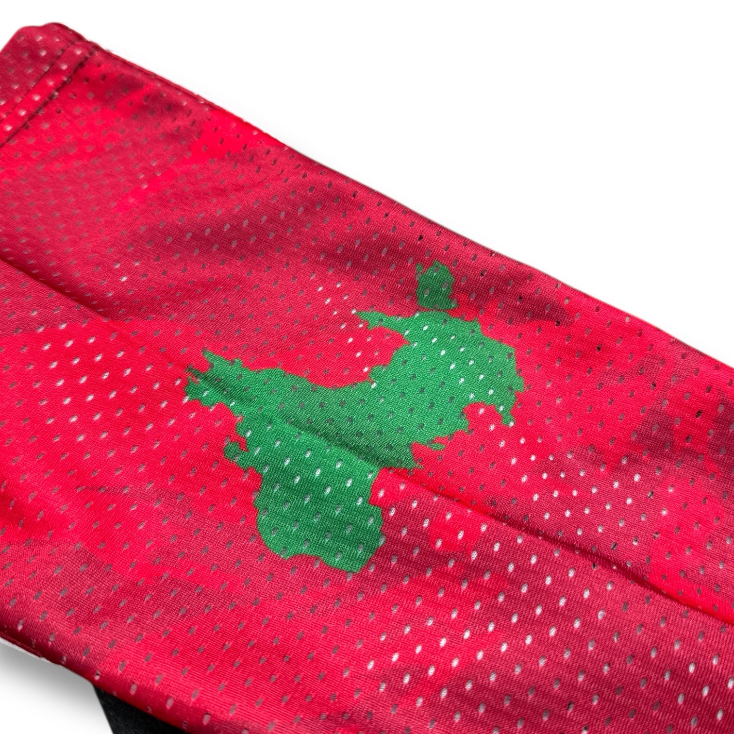 2025 Welsh National Team Uniform
