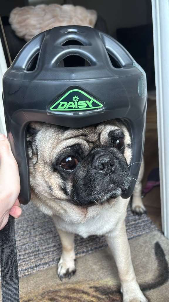Custom Headguard Sticker Pack Of 6