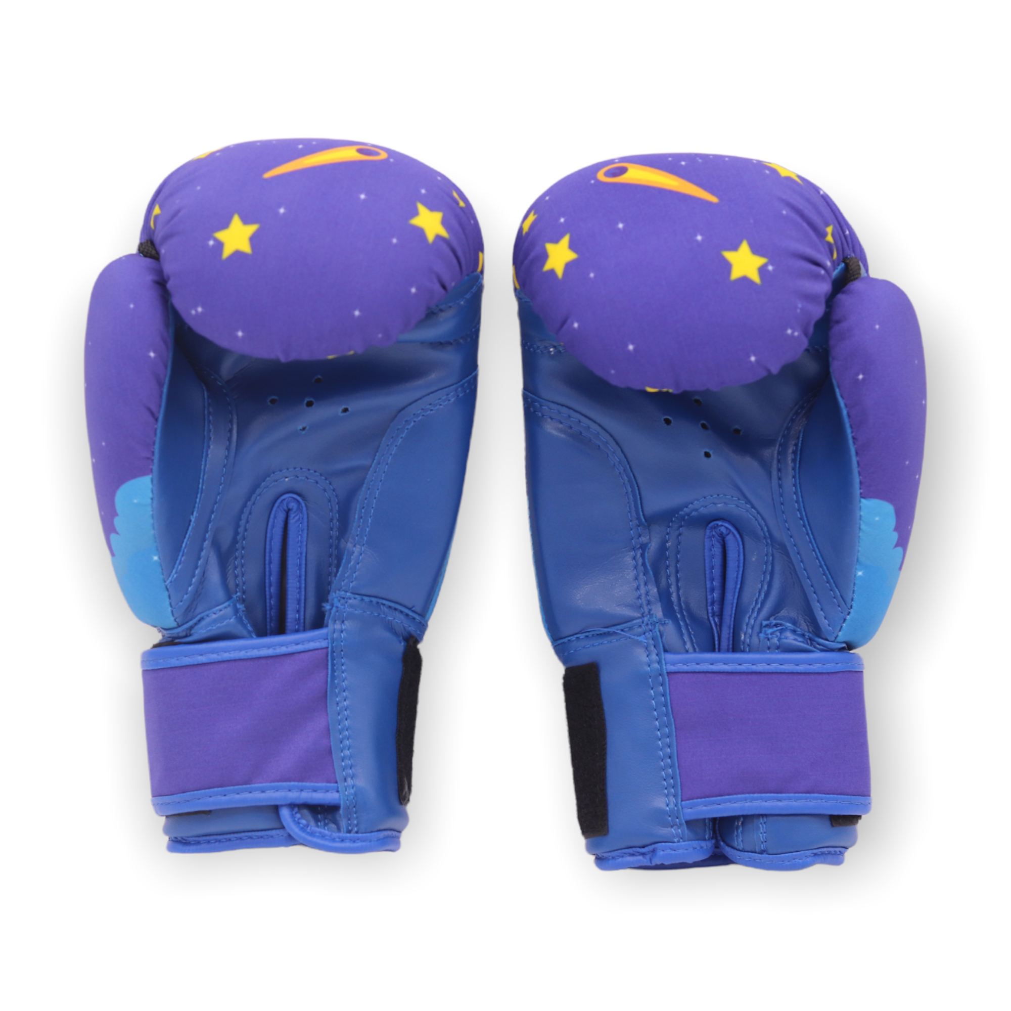 ASTRO Boxing Gloves